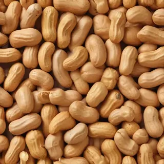 peanut png