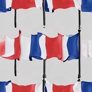 france flag