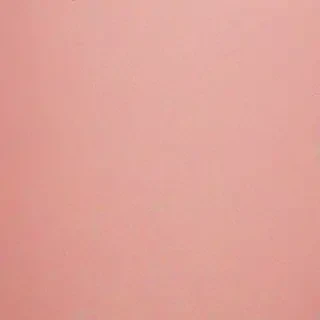 blush background