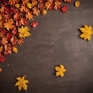 fall wallpaper