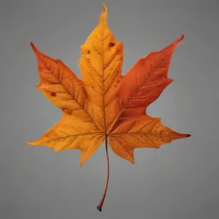 png fall leaves