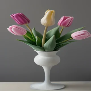 tulip flower