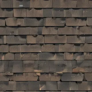pictures of shingles