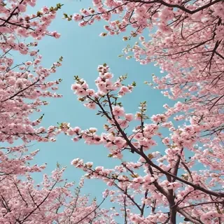 aesthetic wallpaper spring