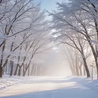 winter zoom background