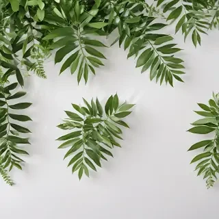 white and greenery background