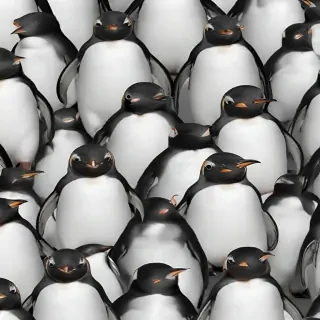 penguin background