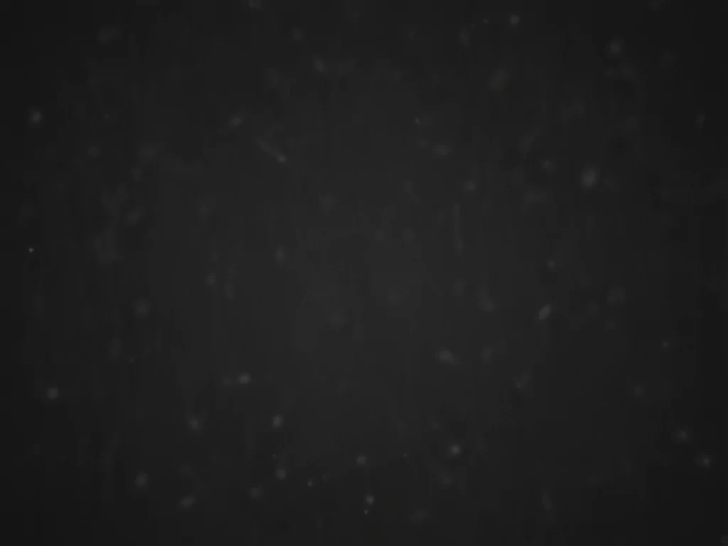 dark aesthetic background