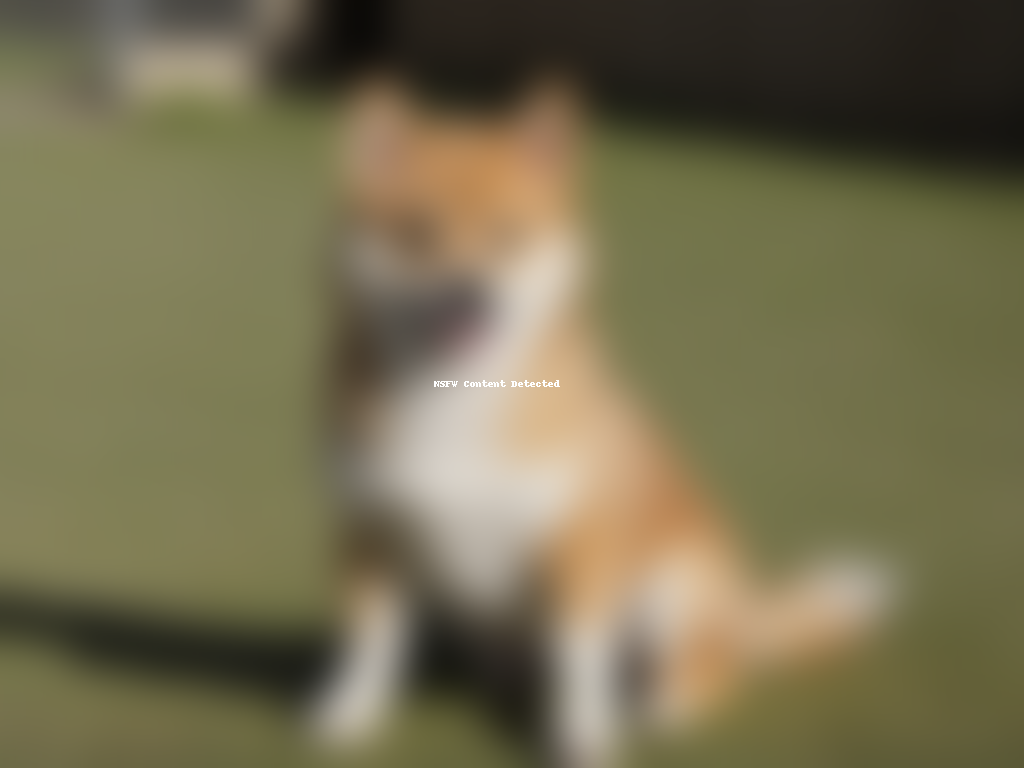 aussie shiba dog breed