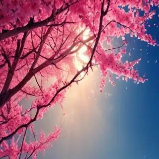 really pretty wallpapers