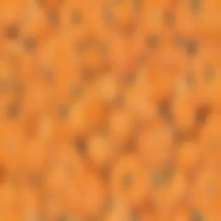 cute orange wallpaper