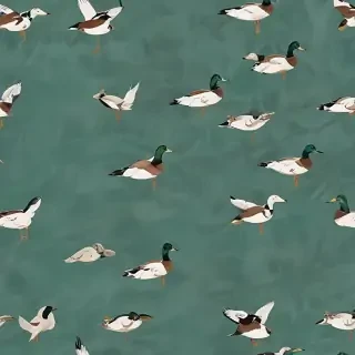 duck background