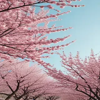 aesthetic spring wallpapers
