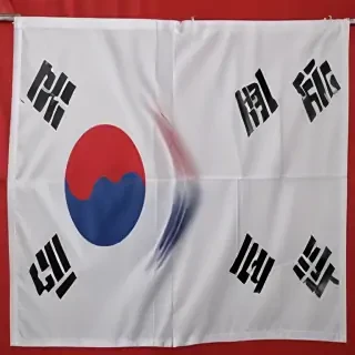 korean flag