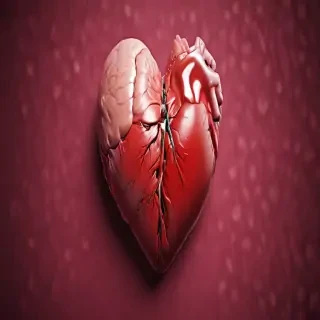 real heart wallpaper