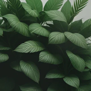 aesthetic plants background