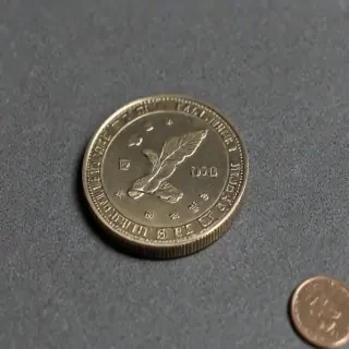 google flip a coin