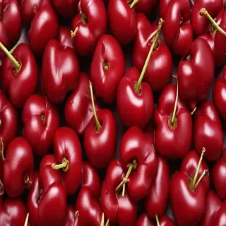 cherry background