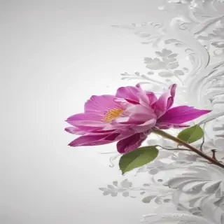 white background wallpaper