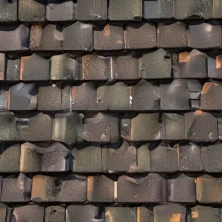 picture of shingles