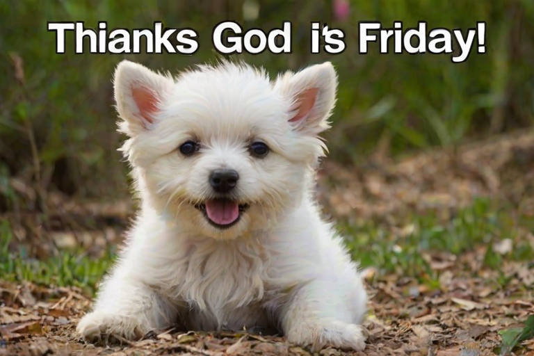 images thank god it's friday