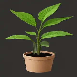 plant png clipart