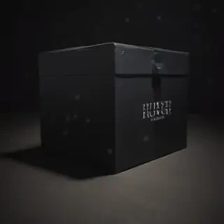 black box image