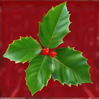holly png