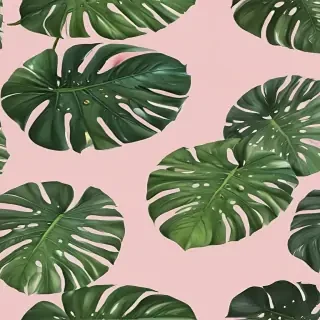 aesthetic monstera wallpaper