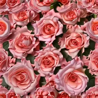 roses background wallpaper