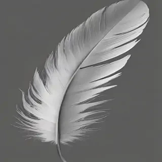 feather png