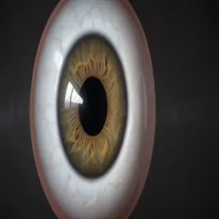 eye ball png