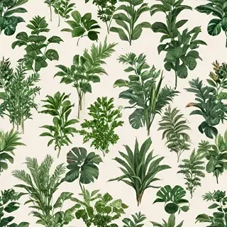 plants no background