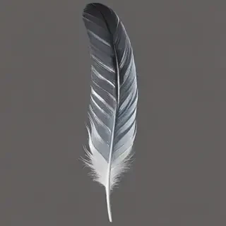 feather png