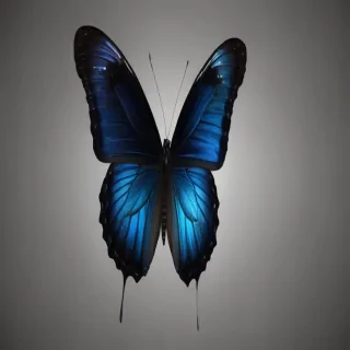 black butterfly png