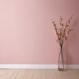 plain light pink wallpaper