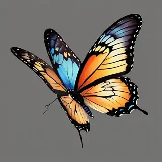 transparent background butterfly clipart