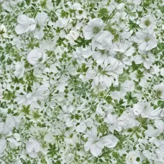 background white and green