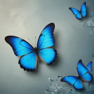 blue butterfly background