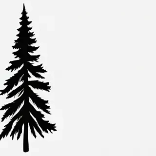 pine tree clip art black and white