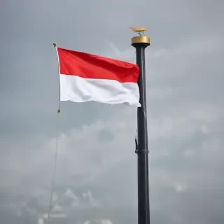 polish flag