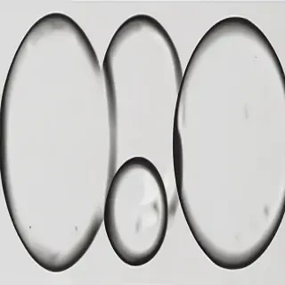 images of circles
