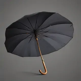 png umbrella