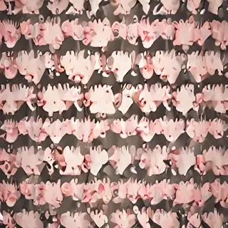 cute wall paper