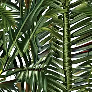 palm tree leaf png