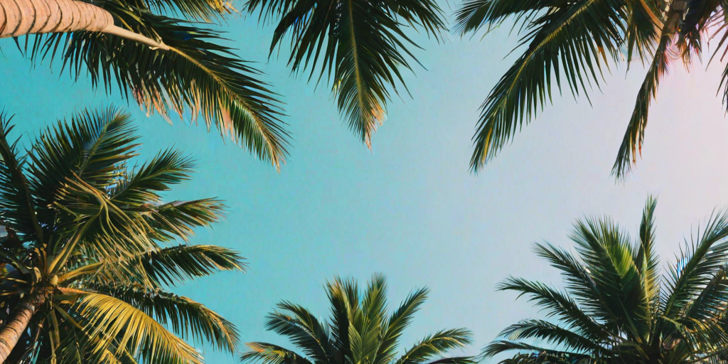 aesthetic palm tree wallpaper