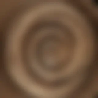 spiral png