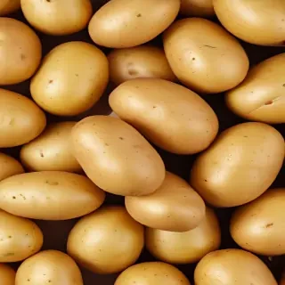 potato png