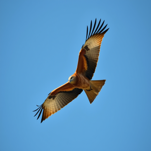 a detailed shot of a soaring red kite with outstretched wings in a clear blue sky, 300mm lens, f/5.6 aperture, ISO 200, shutter speed 1/1000s, natural light, taken from a low angle, emphasizing the bird's majesty and feather texture, DSLR camera