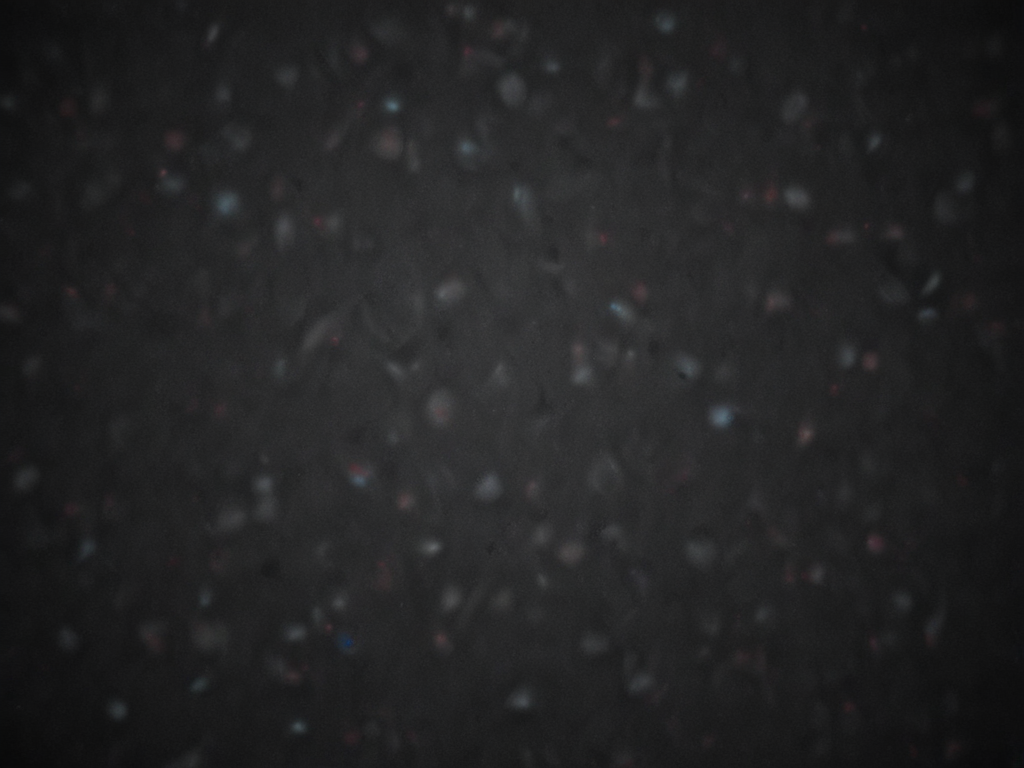 Abstract Dark Background with Subtle Texture and Colorful Flecks of Light